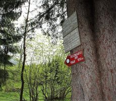 Še nekaj minut do cilja