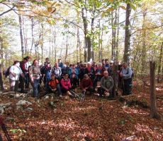 Gasilska sredi gozda 