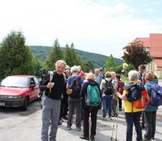 Malo kačje sline za na pot