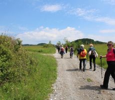 Je pa zato pot toliko položnejša