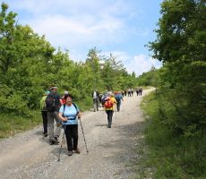Ruža-naša vodnica preverja stanje udeležencev