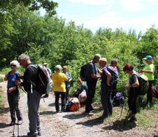 Malo počitka dobro dene