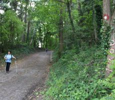 Zadnji metri pred ciljem