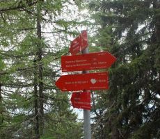 Zgrešiti ne moreš četudi si sam