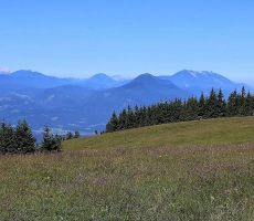 Pogled na KS . Alpe in na Peco ter Uršljo goro
