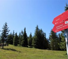 Še 5 minut do najvišjega vrha Pohorja