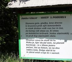 Vredno si je prebrati to pesem