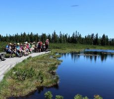Zbrani ob Ribniškem jezeru