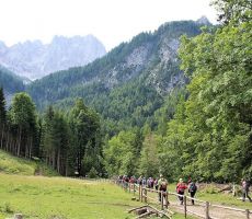 Proti kapelici gre naša pot