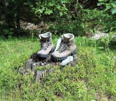 Jezik ima povedati pa ne zna