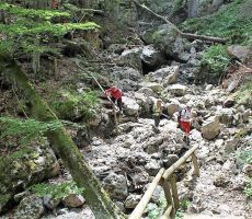 Tofova grapa -PREVIDNO