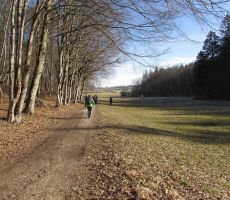 Prelepe dolenjske  jase