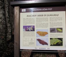 Informacija ravno na pravem mestu