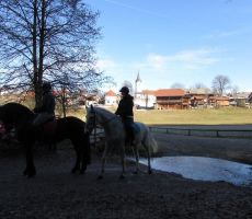 Kot narisano-Veliki Slatnik