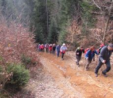 Strm vzpon proti Lukovi bolnici