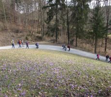 Iz vasi Dupeljne proti Rafolčam