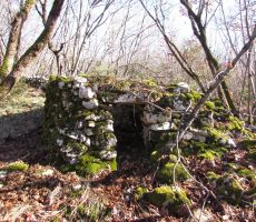 Pastirsko zavetišče