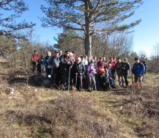 Brez gasilske ni nič