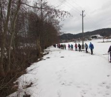 Proti turistični kmetiji Tome