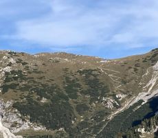 Pozdravi-Maribor-Vlado Možina