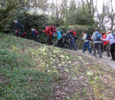 Na poti proti Lucanu