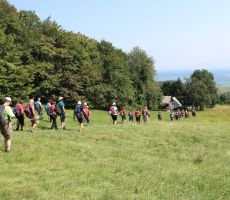 Preko lepih travnikov v dolino