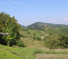 Pogled na brežiško pokrajino