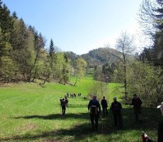 Preko zelenih travnikov