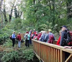 Preko mostička na pot 