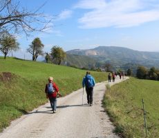 Pred nami je pot proti Katariji