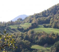 Pogled nazaj proti sv.Miklavžu