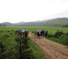 Petelinsko jezero brez vode