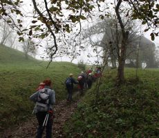 Skozi meglo proti cilju