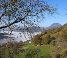 Pozdravlja nas Kojca