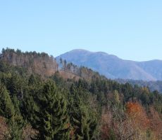 V daljavi nas gleda Porezen