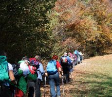 Jesenske barve nas spremljajo