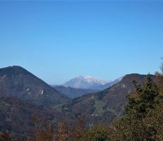 Kojca-v ozadju Rdeči rob in Krn