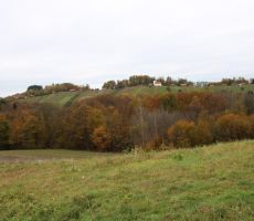 Pogled nazaj -sv.Peter