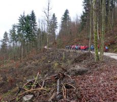 Megla je nenadoma izginila