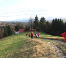 Pot je bila lepa in ne prestrma