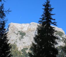 Debeli vrh se nam ponuja