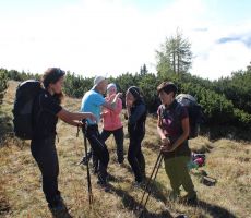 Nekaj počitka se prileže