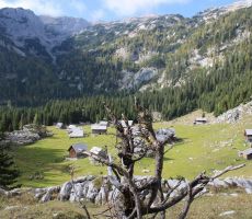 Planina Laz v svoji lepoti