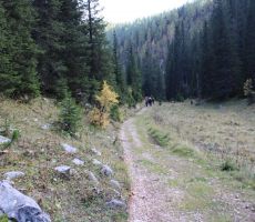 Proti planini pri Jezeru