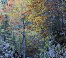 Na poti proti planini Blato