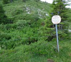 Tu je bil nekoč vhod v rudnik