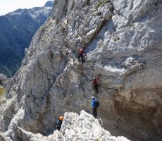 Tu je potrebno iti zelo previdno