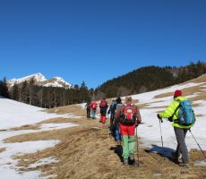 Naša četica koraka