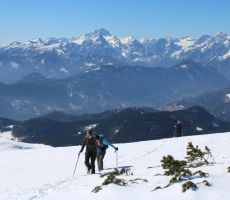 Pa kaj bi rad še več!!!???