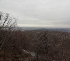 OBČNI ZBOR LIPA NA KRASU, 10.03.2019 -PS PT Nova Gorica